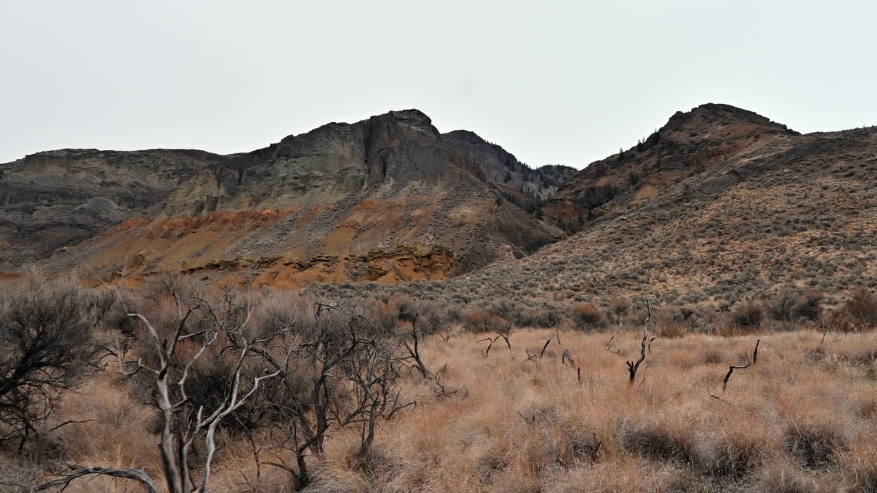 los hoodoos hacen guardia en la cresta de canela de kamloops.