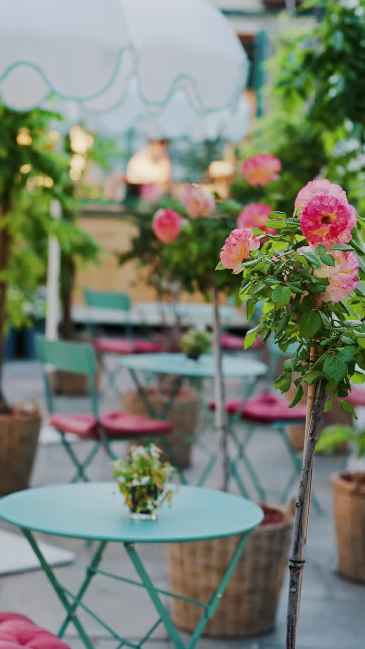 Pink climbing roses in pots at an outside cafe with mint green tables and chairs. Vertical