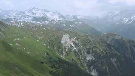 forest mountain alps at chamonix-mont-blanc in auvergne rhone alpes region, france