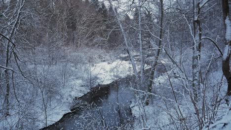 Monocromo-De-Un-Río-Symsarna-Que-Fluye-En-El-Bosque-De-Invierno-En-Lidzbark-Warmiński,-Polonia