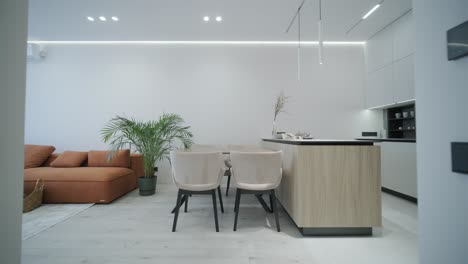 modern open concept apartment kitchen and dining area