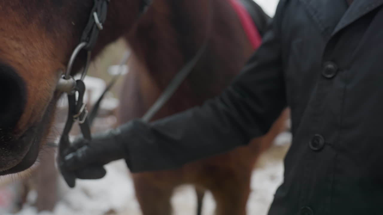 persona a caballo guiando un animal al aire libre, jinete conduce un caballo marrón por un paisaje rural nevado cerca de una valla, persona a caballo se desplaza por un campo nevado con un caballo castaño junto a una valla de madera desgastada