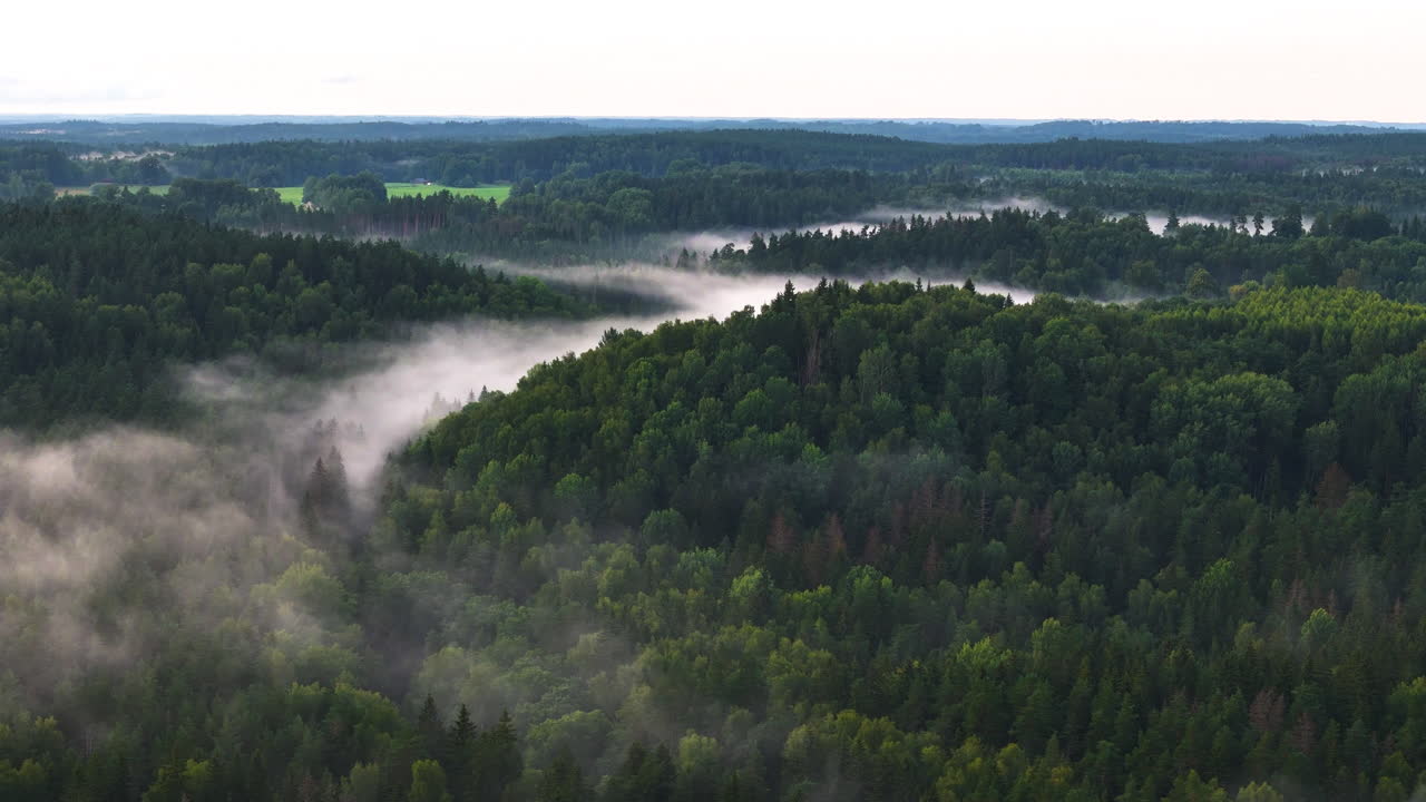 Beautiful Morning Mist Over The Gauja River Valley In Sigulda, Latvia.