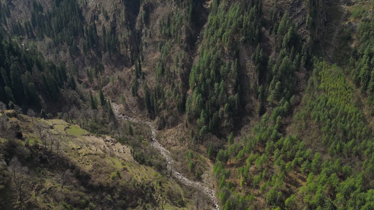 vista a vista de pájaro del valle de parvati - gran bosque de pinos con un río seco - himachal pradesh, himalaya indio