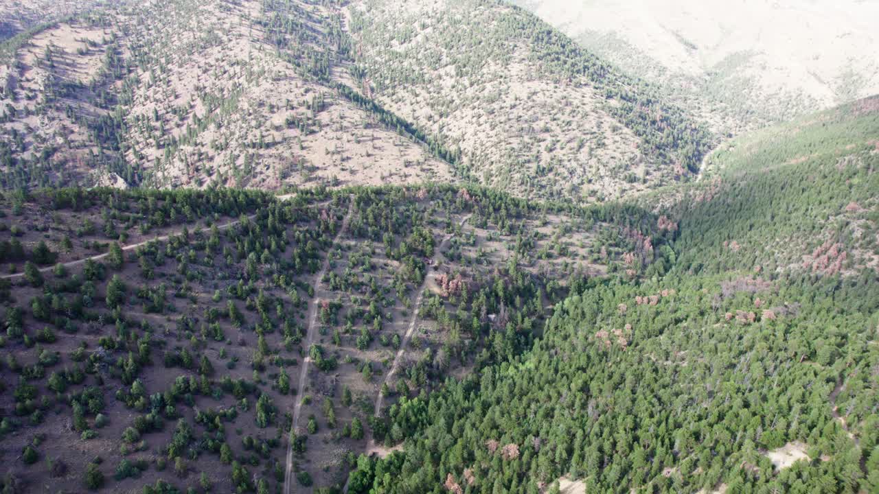 Aerial view of dense Colorado forests covering rugged mountain slopes