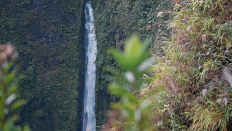 this breathtaking aerial view captures the majestic cinchona waterfall in costa rica, plunging dramatically into the lush, emerald green rainforest below