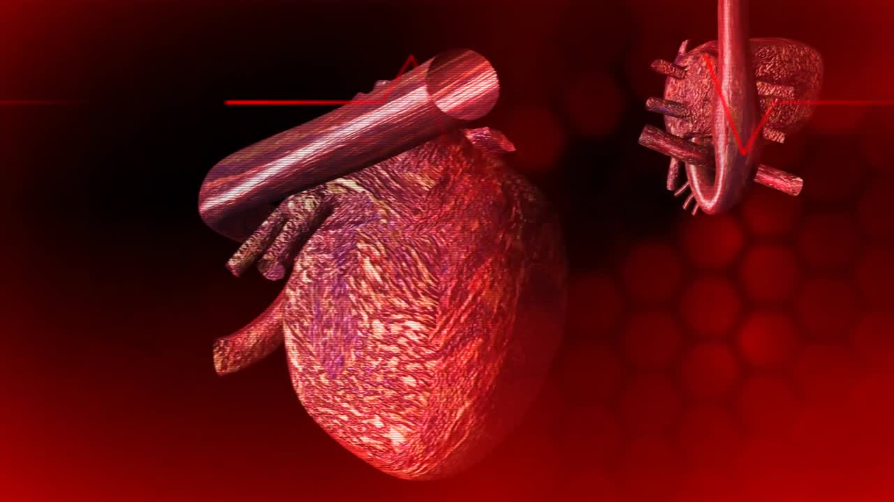 3d Beating Heart Animation