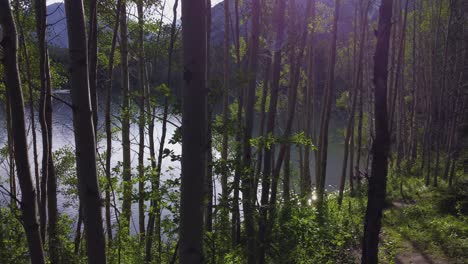 Pond-in-forest-tilt-people-in-distance-sun-flare-Rockies-Kananaskis-Alberta-Canada