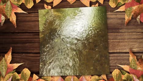 mostrando el arroyo y el bosque 4k