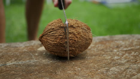 chopping a coconut in half to get to the white juicy meat inside - isolated slow motion