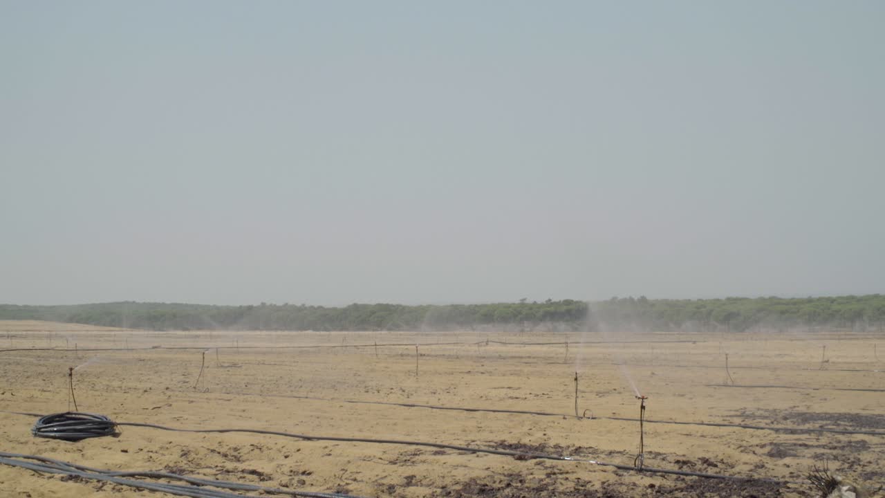 스페인 우엘바의 농지에 물을 주는 스프링클러 관개 시스템