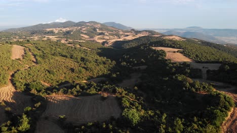 Drone-video-over-mountain-field-crops-wheat-hills-sunset-blue-sky-summer