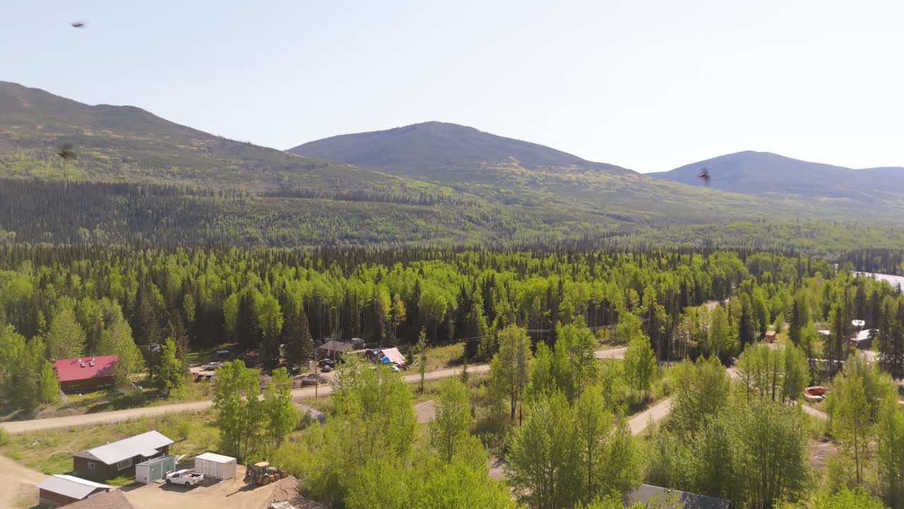 Drone footage of deforestation in the Canadian forest