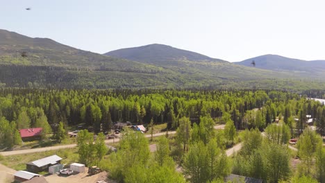 drone footage of deforestation in the canadian forest