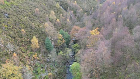 Luftdrohnenaufnahmen-Eines-Flusses,-Der-Durch-Eine-Moorlandschaft-Fließt