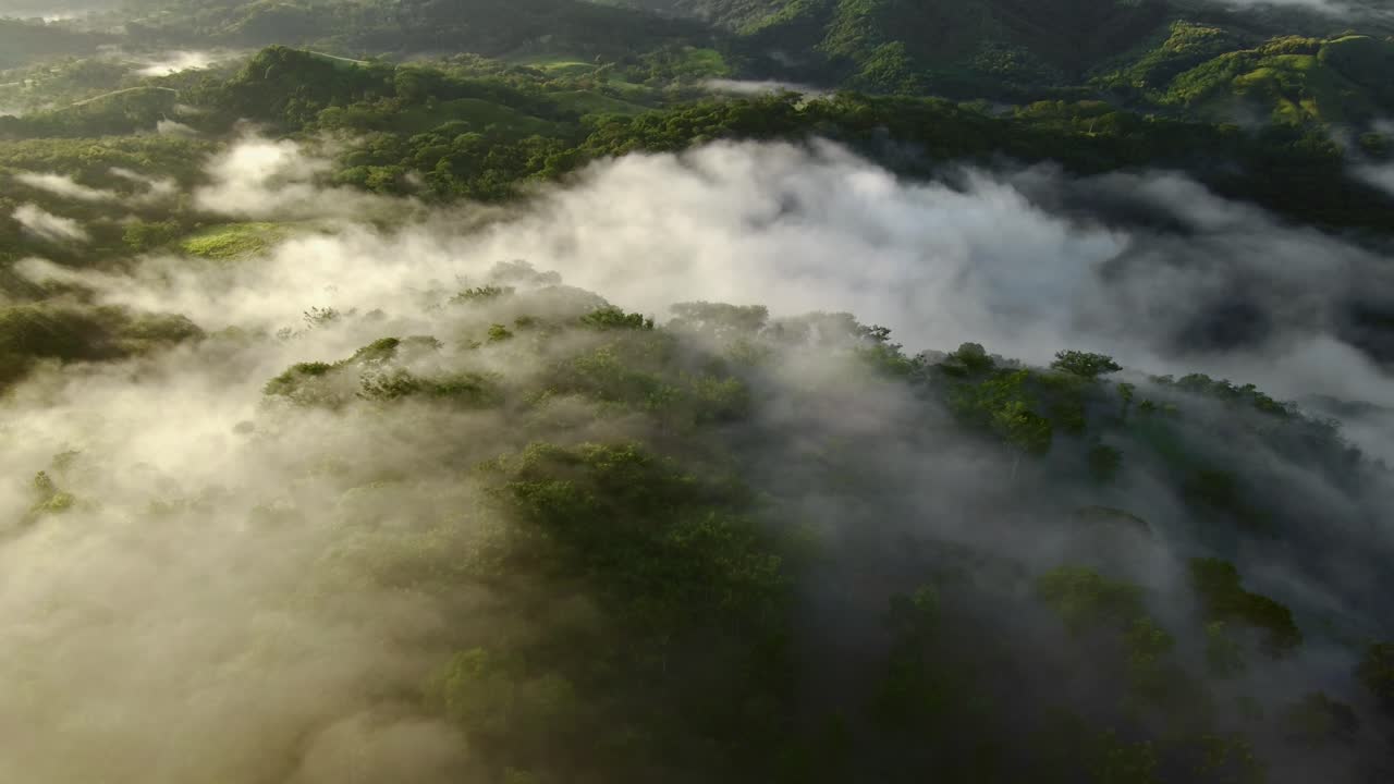 Natural landscape and tropical green forests of Costa Rica_misty morning