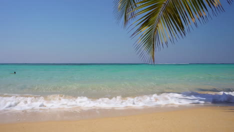 tropical beach scene