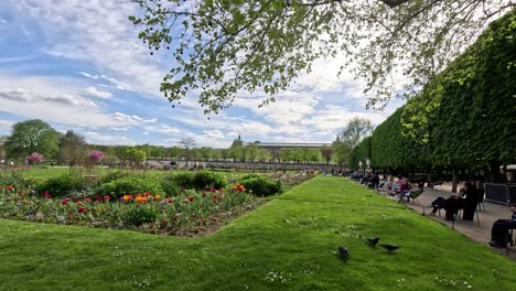 visitors enjoying a sunny day in a flower-filled park