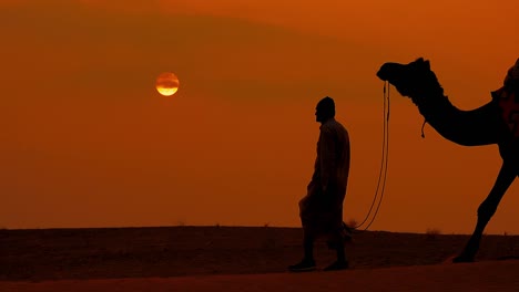 Cameleers,-camel-Drivers-at-sunset-in-slow-motion.-Thar-desert-on-sunset-Jaisalmer,-Rajasthan,-India.