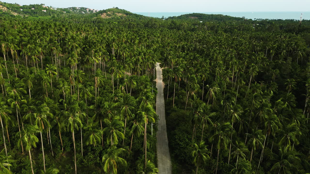 aerial footage of natural unpolluted green rain forest tropical jungle in south east asia