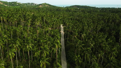 Luftaufnahmen-Des-Natürlichen,-Unverschmutzten-Grünen-Regenwaldes-Im-Tropischen-Dschungel-In-Südostasien