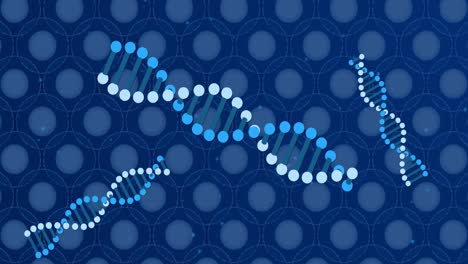 Animation-of-dna-over-blue-cells-on-blue-background