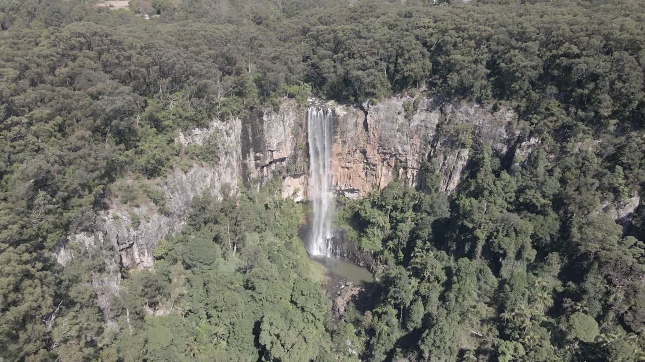 Powerful waterfall tumbles through a dense rainforest, mist rising to reveal a radiant rainbow in the sunlight. Vibrant green foliage surrounds this breathtaking natural wonder.
