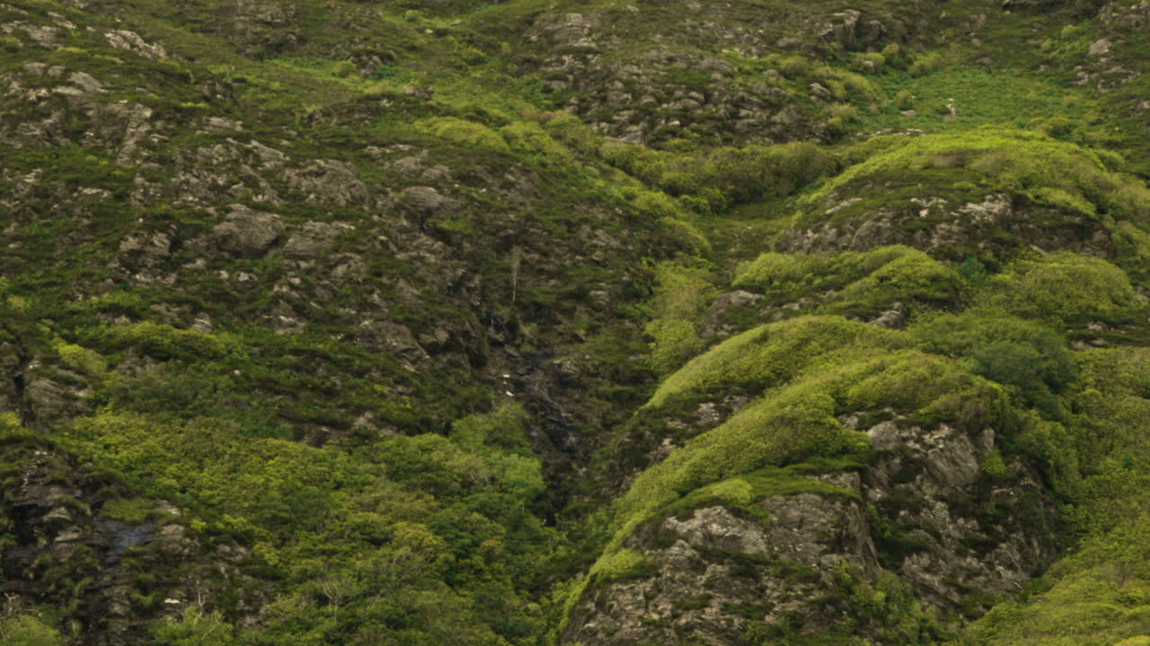 montañas escarpadas de musgo verde cerca de la abadía de kylemore en connemara, condado de galway, irlanda