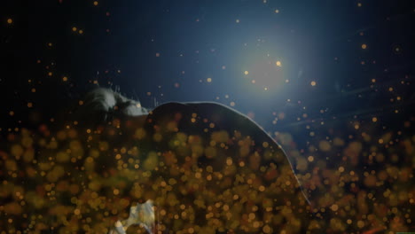 female singer performing with mic on stage under spotlight, featuring marketing, golden particles