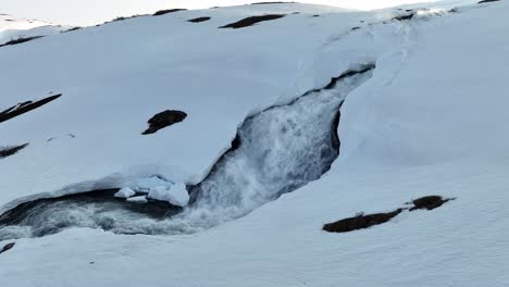 Ein-Mächtiger-Fluss,-Der-Während-Der-Rekordhitzewelle-Auf-Spitzbergen-Durch-Eine-Schneeschicht-Dringt