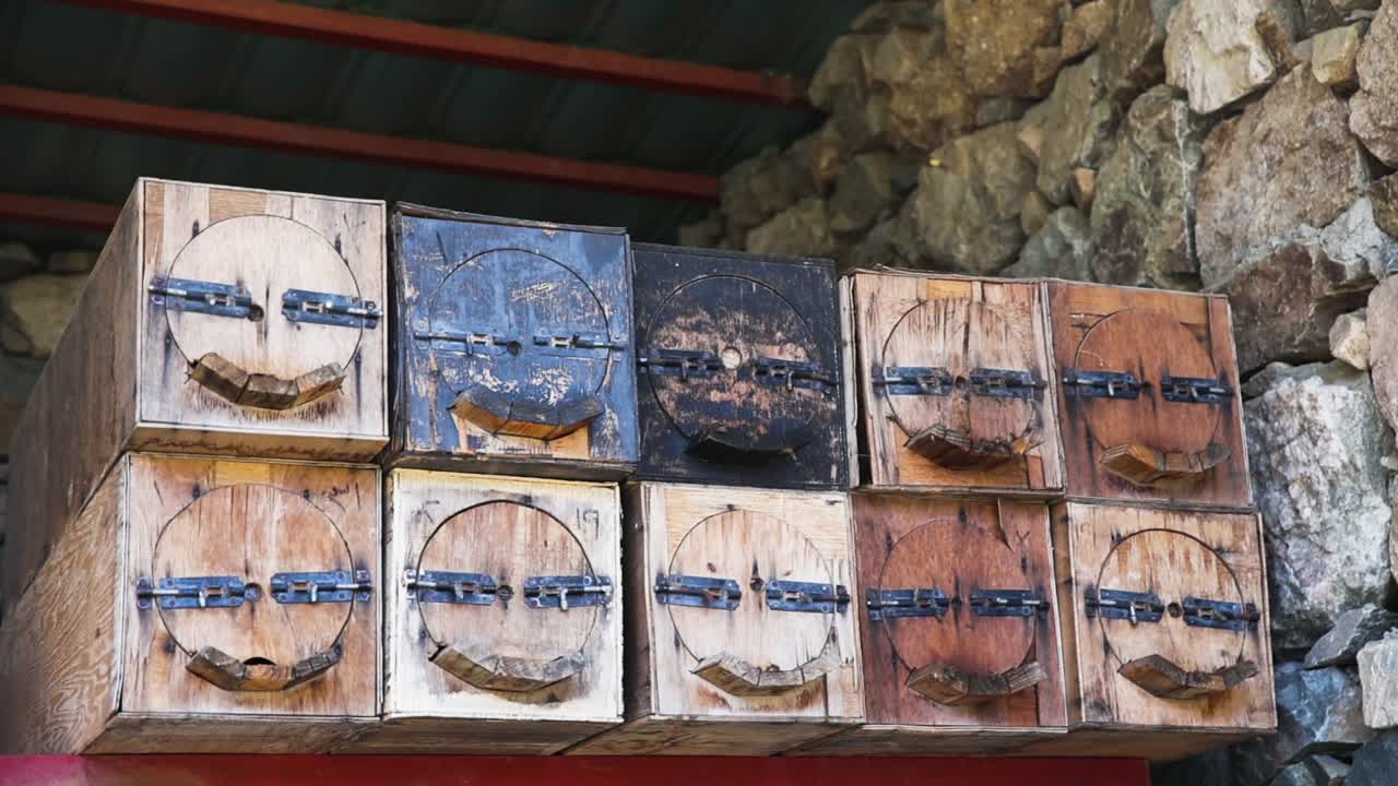 벌들이 날아다니는 나무 벌통의 슬로모 정적 샷