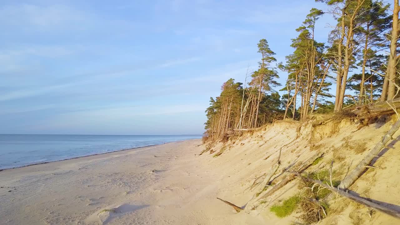 Kaunis yleisnäkymä Itämeren rannikosta aurinkoisena iltana, kultaisella hetkellä. Valkohiekkainen ranta, rantaeroosio, ilmastonmuutos, murtuneita mäntyjä. Eteenpäin liikkuva laajakulmadroonikuva.