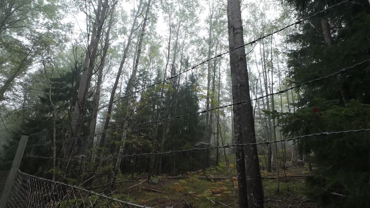 숲 속 철조망에서 밀어내기