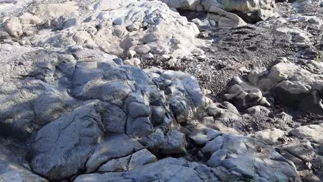un río idílico en el bosque negro con grandes piedras
