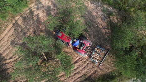 vista aérea del cenit del conductor del tractor sentado para comenzar a cultivar olivos al atardecer