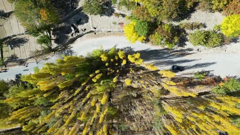 drone flight over the valley with green trees and a river in skardu city