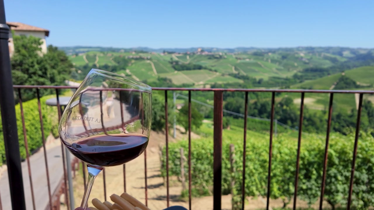 Rotwein wirbelt in einem Glas, das in Zeitlupe über einer sonnigen Weinbergslandschaft gehalten wird