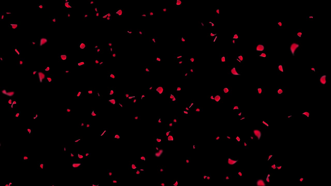 현실적인 추상적인 장미가 떨어지는 모션 루프 배경 녹색 화면