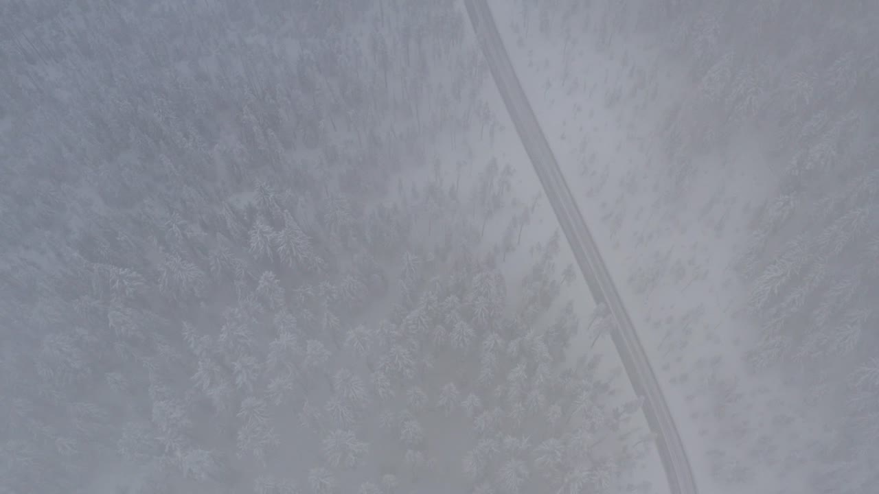 mirando hacia abajo a través de la niebla hacia un camino nevado y helado en invierno, rodeado de bosque