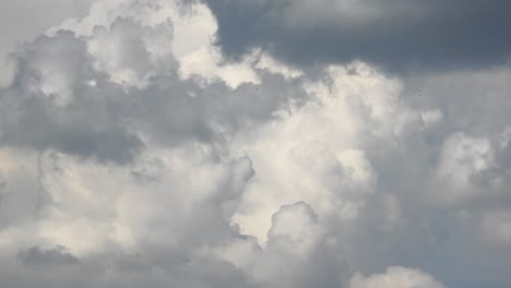 Massive-Cumulonimbus-Wolken-Bilden-Sich-Und-Bewegen-Sich-Im-Zeitraffer-Hoch-In-Den-Himmel,-Sehr-Schöne-Dichte-Und-Dicke-Wolkenformationen-Im-Zeitraffer-In-Südafrika