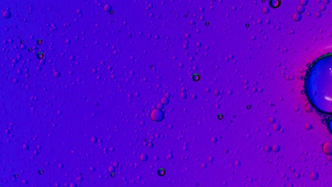 large air bubbles float on a purple and blue greasy liquid