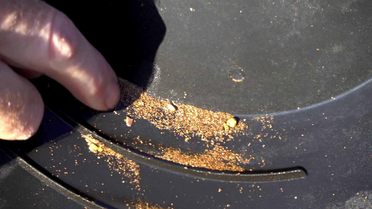 Prospector inspects gold dust and nuggets left behind in pan