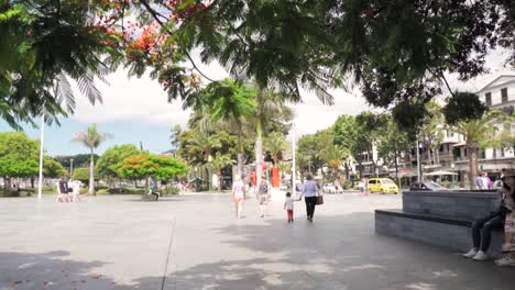 plaza de la ciudad de funchal, isla de madeira, portugal