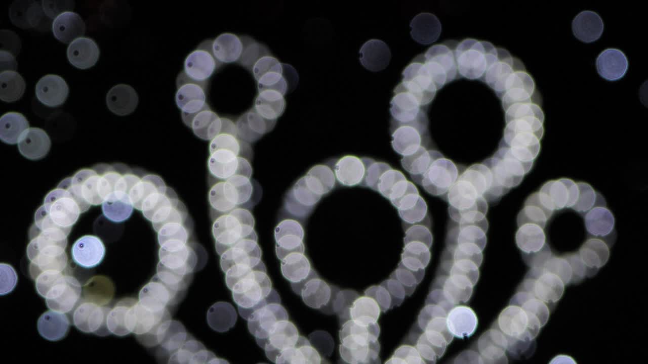 luces navideñas en forma de círculo borroso