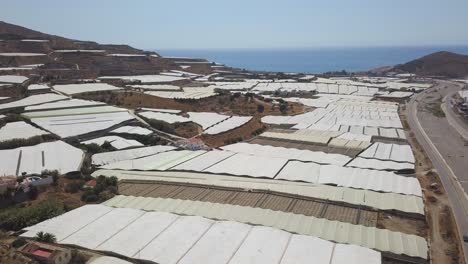 vista aérea de muchos invernaderos en la costa mediterránea de almería