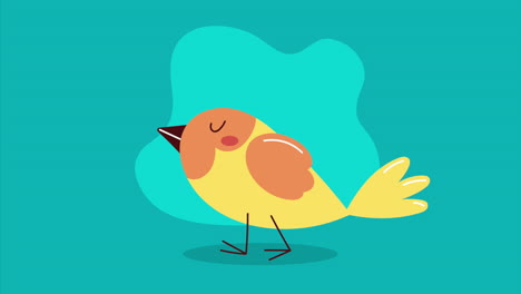 little bird animal character animation