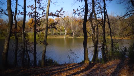 calm water of lake seen through leafless trees of park on the bank with brown dried leaves on a sunny day in december