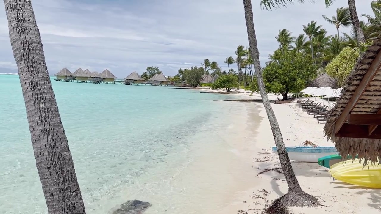bora bora, bora bora beach, island, couple, islet, coral, lagoon, fish, reef, walking, jet, snorkeling, honeymoon, sanctuary, mont otemanu, beach, blue sky, boardwalk, crystal clear, dream holiday