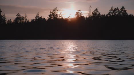 sun reflection in calm lake with pine trees in sweden