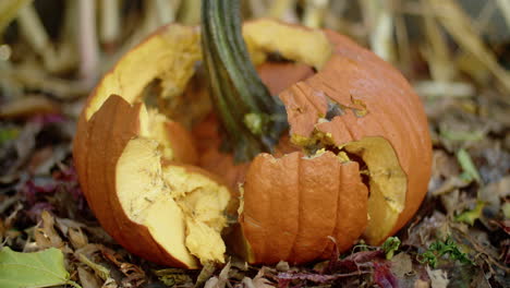 Verfaulte-Halloween-Kürbislaterne,-Die-Von-Einem-Schwarzen-Gummistiefel-Zertrümmert-Wurde